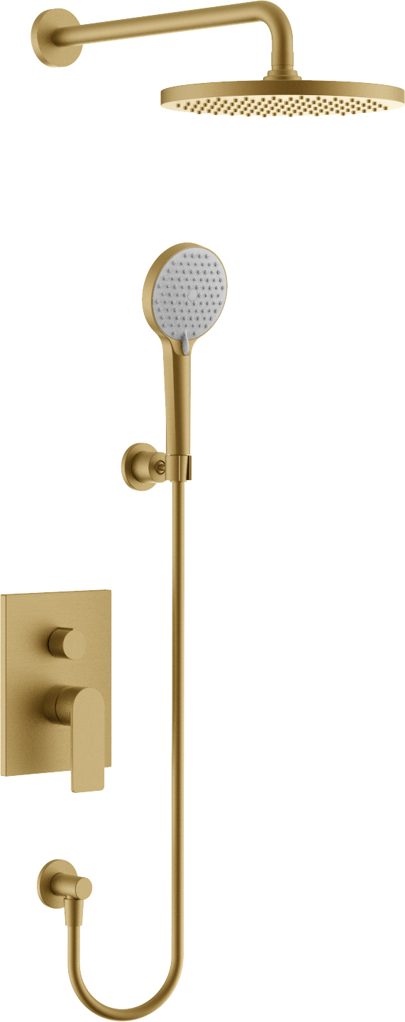 Willini Personal shower system 威利尼两功能入墙淋浴花洒BNJ