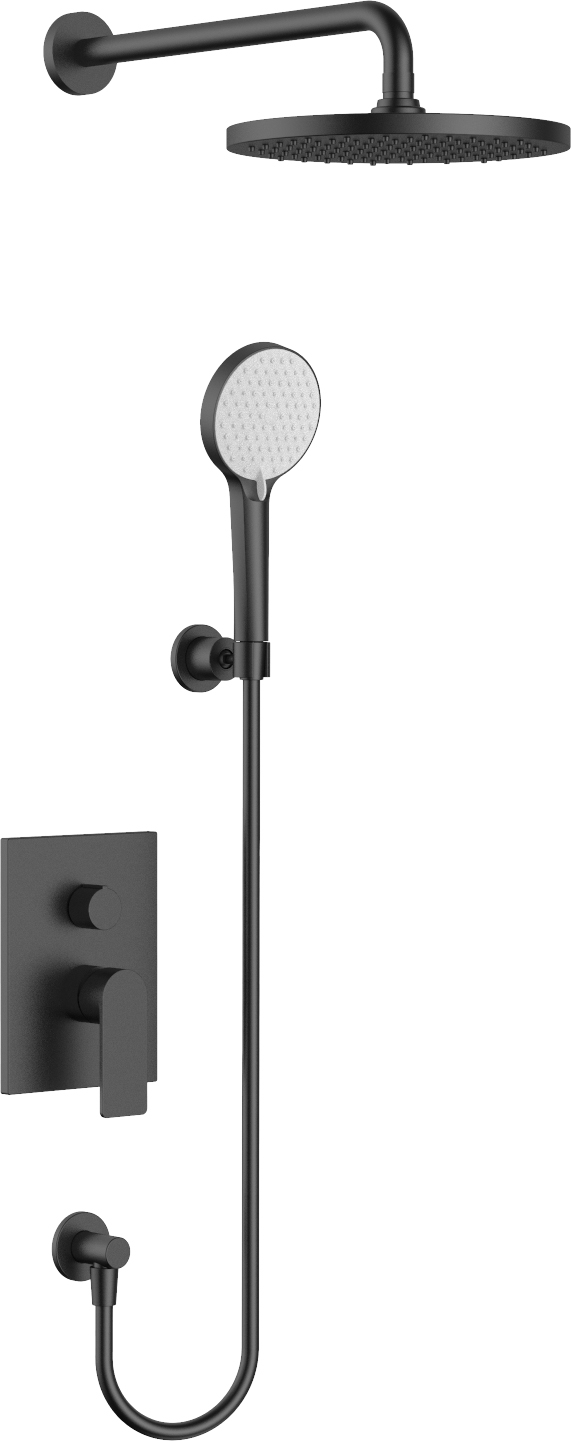 Willini Personal shower system 威利尼两功能入墙淋浴花洒DH