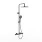 Willini Personal shower system  威利尼两功能恒温淋浴花洒62801QS