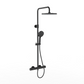 Willini Personal shower system 威利尼两功能恒温淋浴花洒62801DH