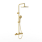 Willini Personal shower system  威利尼两功能恒温淋浴花洒62801BNJ