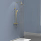 Willini Personal shower system  威利尼两功能恒温淋浴花洒62801BNJ